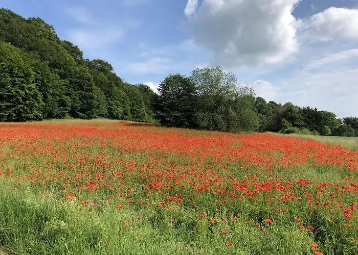 度假居 Dream In Paradise